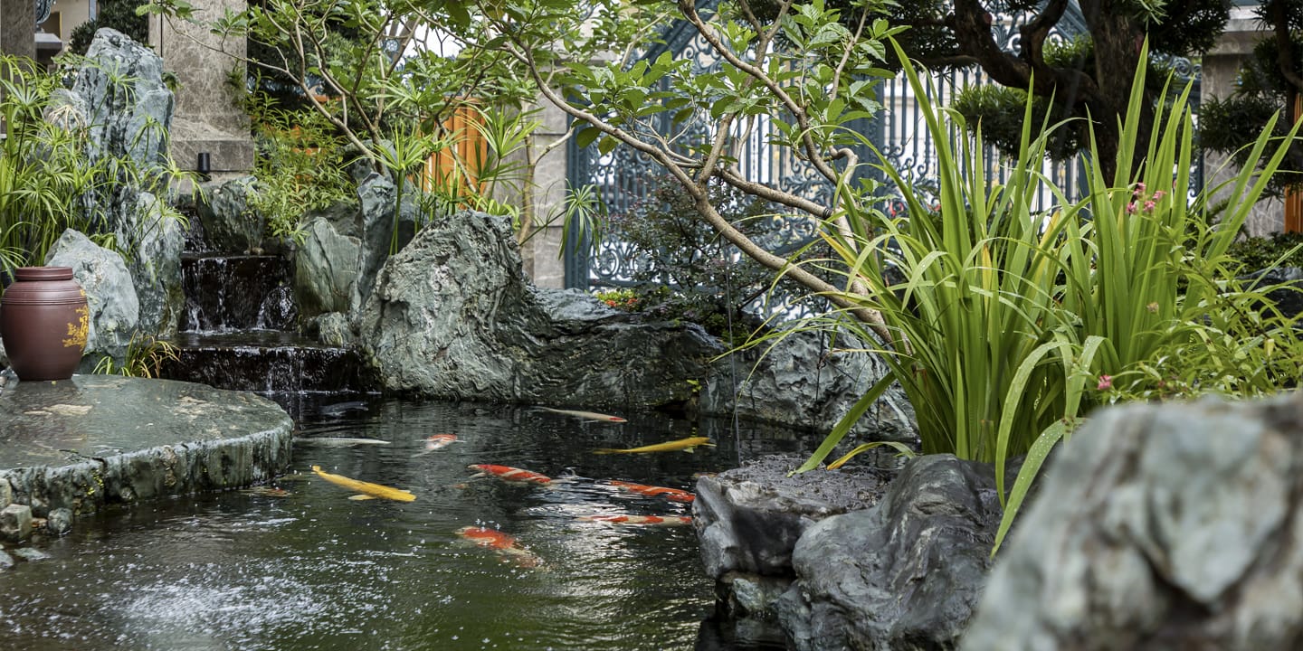 The Retreat Garden - Vườn Nhật Bản