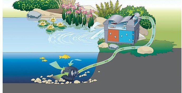 Cơ chế hoạt động của hệ thống lọc nước hồ cá koi ngoài trời