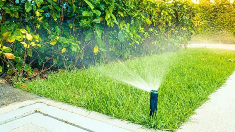 Hệ thống tưới cây tự động là gì?