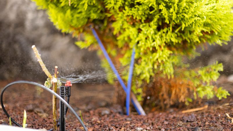 Những lưu ý cần biết khi lắp hệ thống tưới cây tự động