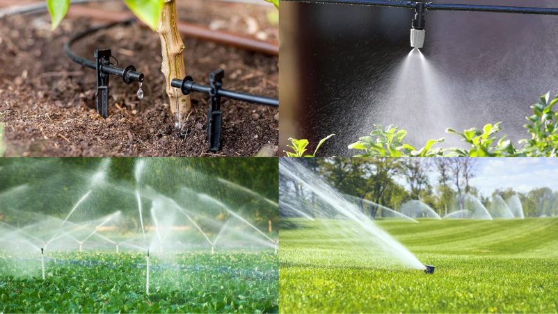 Các loại hệ thống tưới cây tự động phổ biến