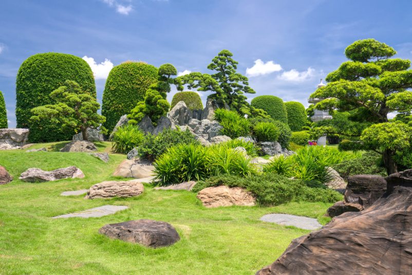 Vườn cây cảnh ở công viên Rin Rin Park có nhiều loại cây với nhiều hình dáng khác nhau