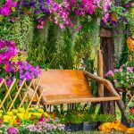 TOP 10+ các loại hoa dễ trồng sống lâu trang trí cho sân vườn