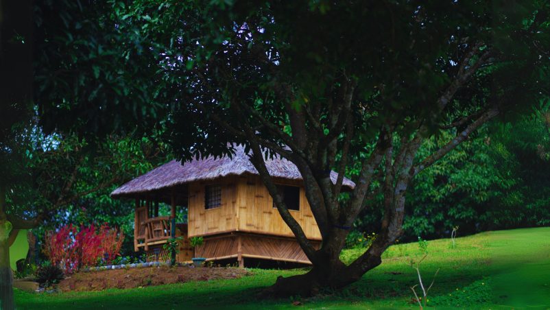 Mẫu nhà chòi lá này được xây dựng từ tre và gỗ, mang đậm nét mộc mạc và truyền thống. Mái lá tự nhiên giúp giữ cho không gian bên trong mát mẻ, trong khi nhà được nâng trên cột để tránh ẩm ướt từ mặt đất. Xung quanh nhà chòi là cây cối xanh tươi và một vườn hoa đỏ rực, tạo nên không gian yên bình và thoải mái, lý tưởng cho việc nghỉ ngơi hoặc thư giãn giữa thiên nhiên
