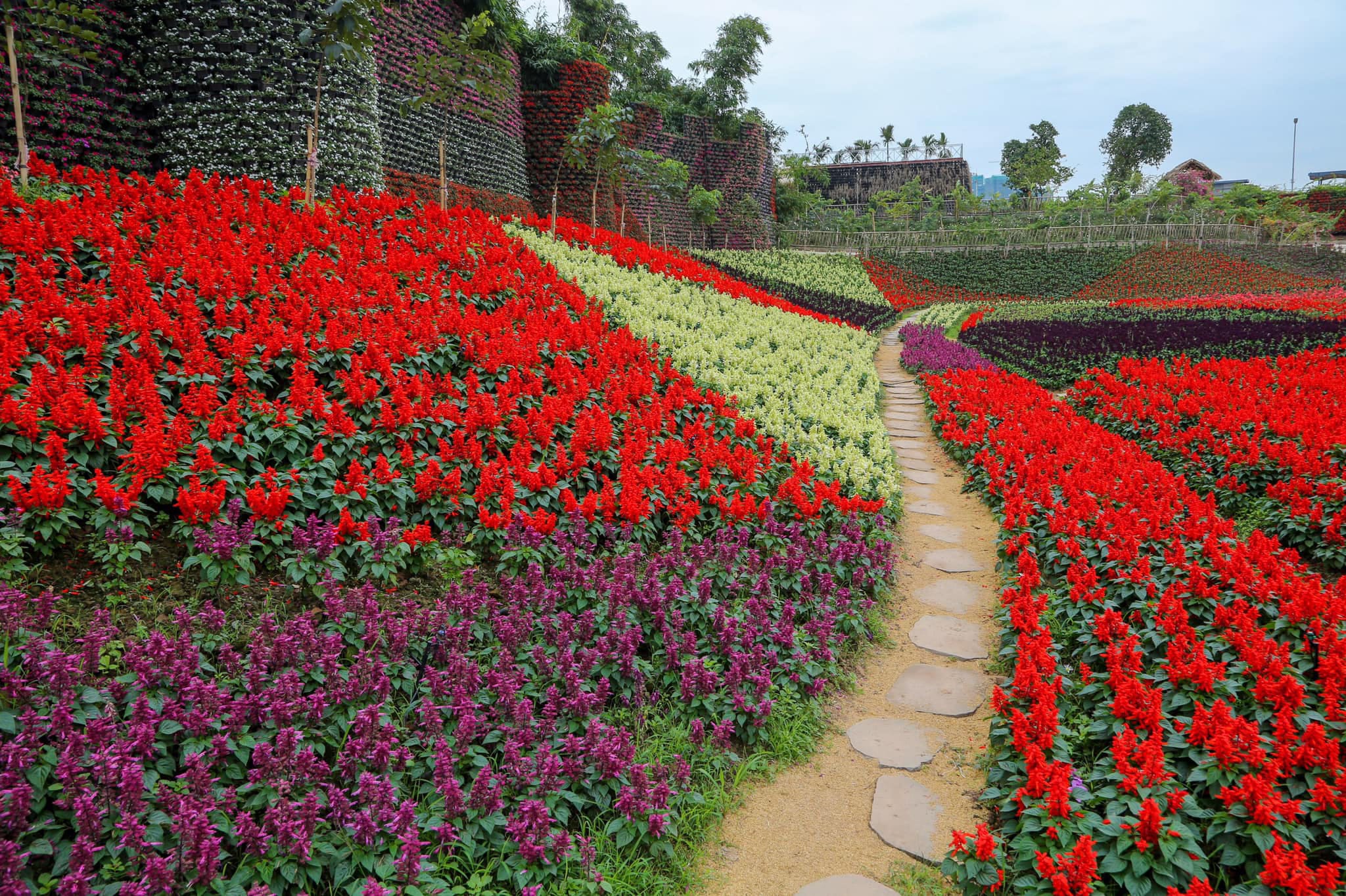 TOP 20+ vườn hoa đẹp nhất Việt Nam và trên Thế giới | SGL - SaiGon Landscape